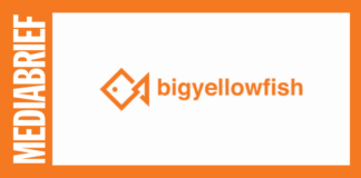 Image-Bigyellowfish-raises-USD-1.1-million-MediaBrief.png