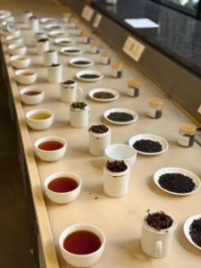 Tea tasting