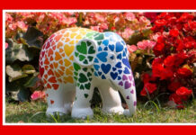 Archies becomes official India distributor for Thailand’s Elephant Parade Archies partners with Elephant Parade for India launch