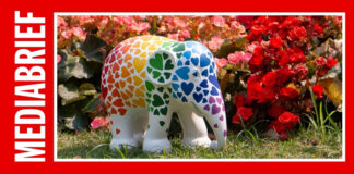 Archies partners with Elephant Parade for India launch