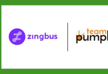 zingbus appoints Team Pumpkin as communications partner